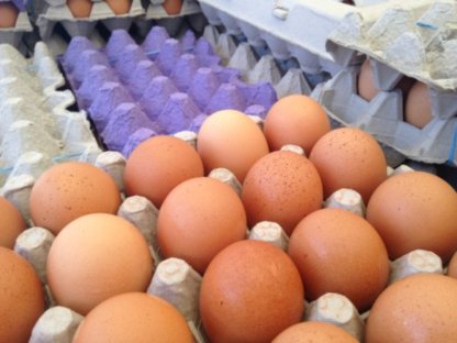 Cartons of eggs from chickens raised sustainbly nurtured by financial tools 